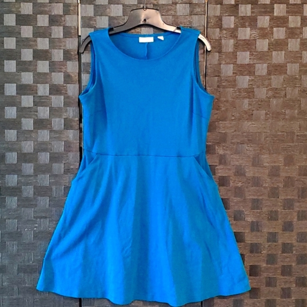Women's L Fit and Flair Dress with pockets